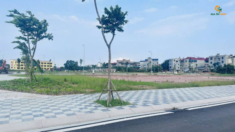 Hud Thái Đào